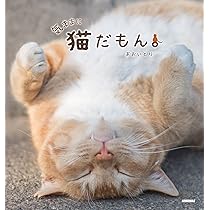 猫だーいすき✨✨ 81V0l7+P7OL._AC_UL210_SR210,